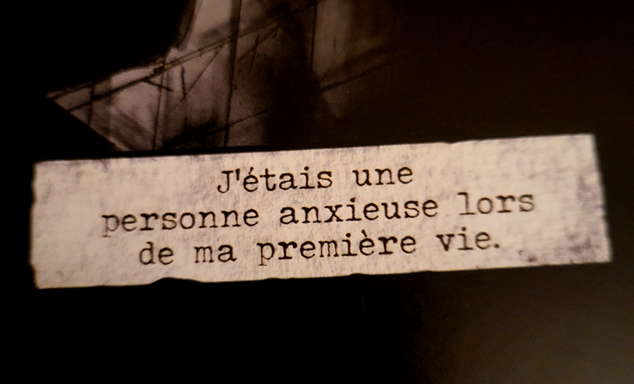 "Illustration de Blatta"