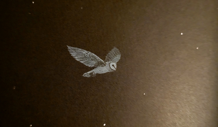 "Illustration de Nocturnos"