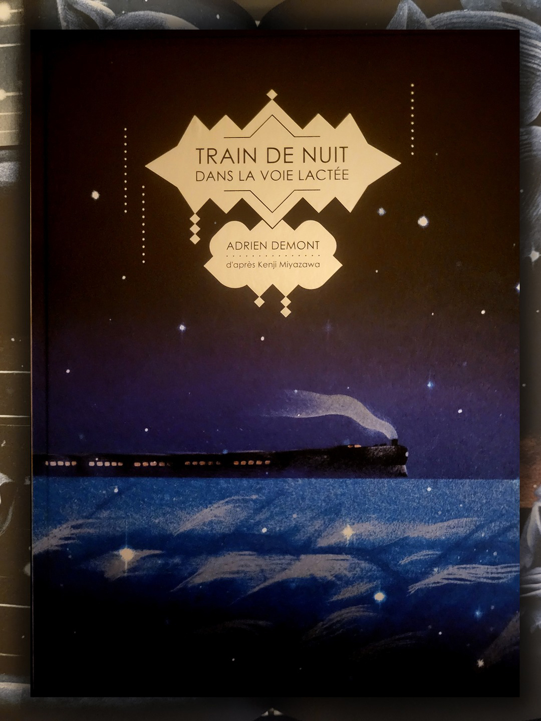 Couverture de Train de nuit dans la voie lactée